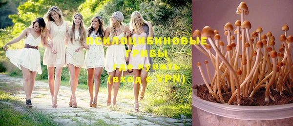 ешки Одинцово