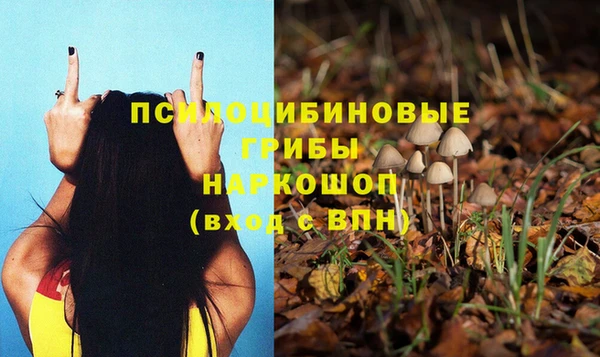 мяу мяу мука Белокуриха