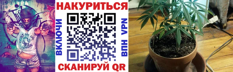Бошки Шишки VHQ  закладки  Беломорск 